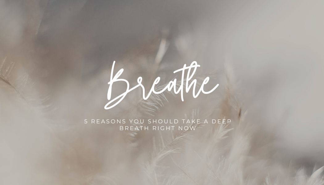 5 reasons you should take a deep breath right now